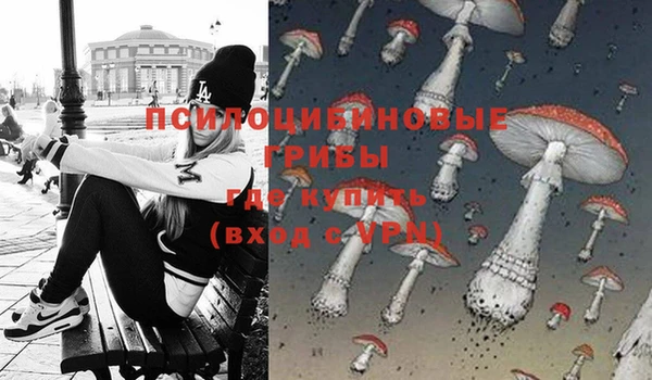 гашик Липки
