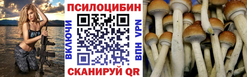 Псилоцибиновые грибы GOLDEN TEACHER  Горячеводский 